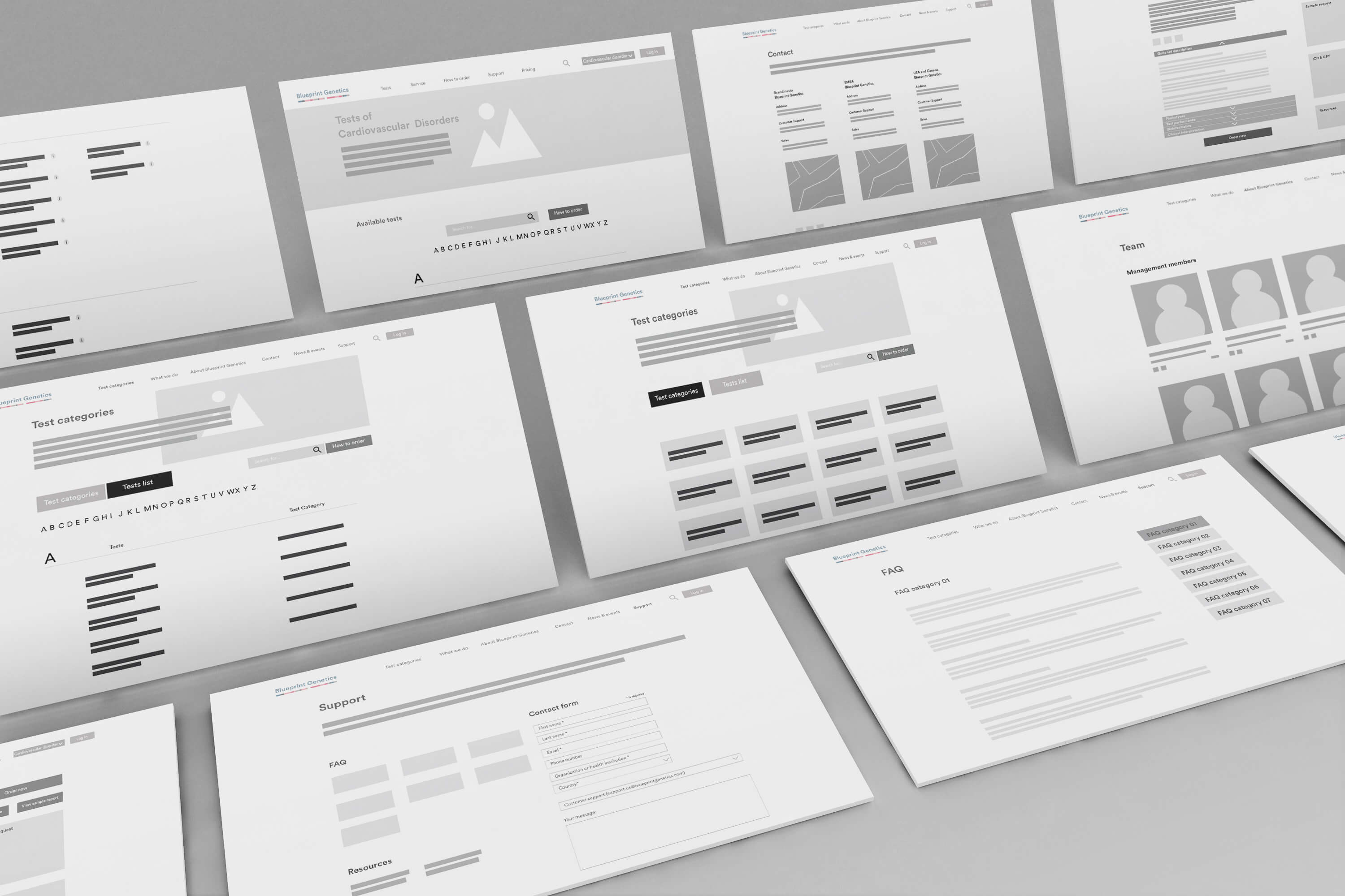 Outline models of the Blueprint Genetics website. 